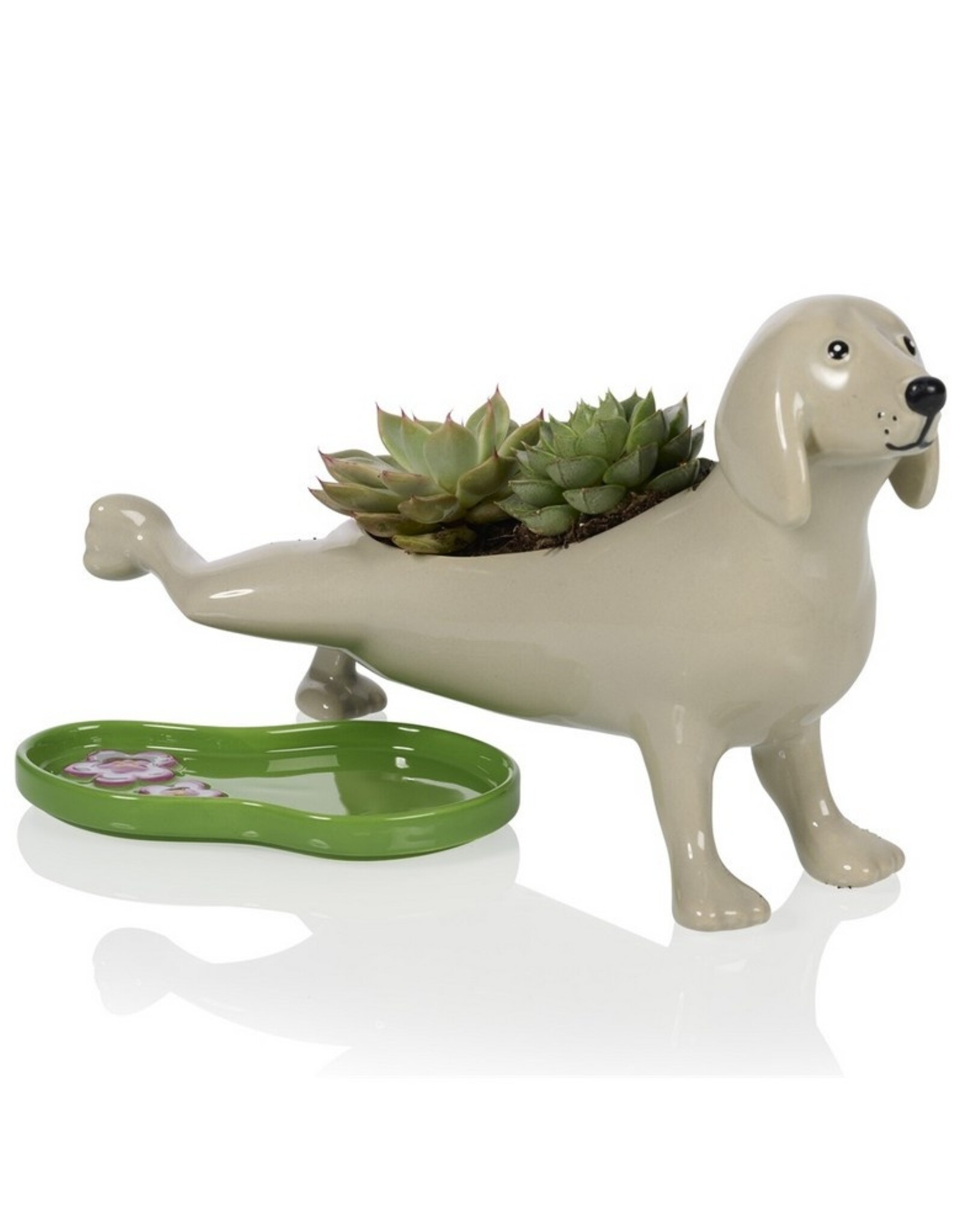 Bitten Planter Peeing Dog