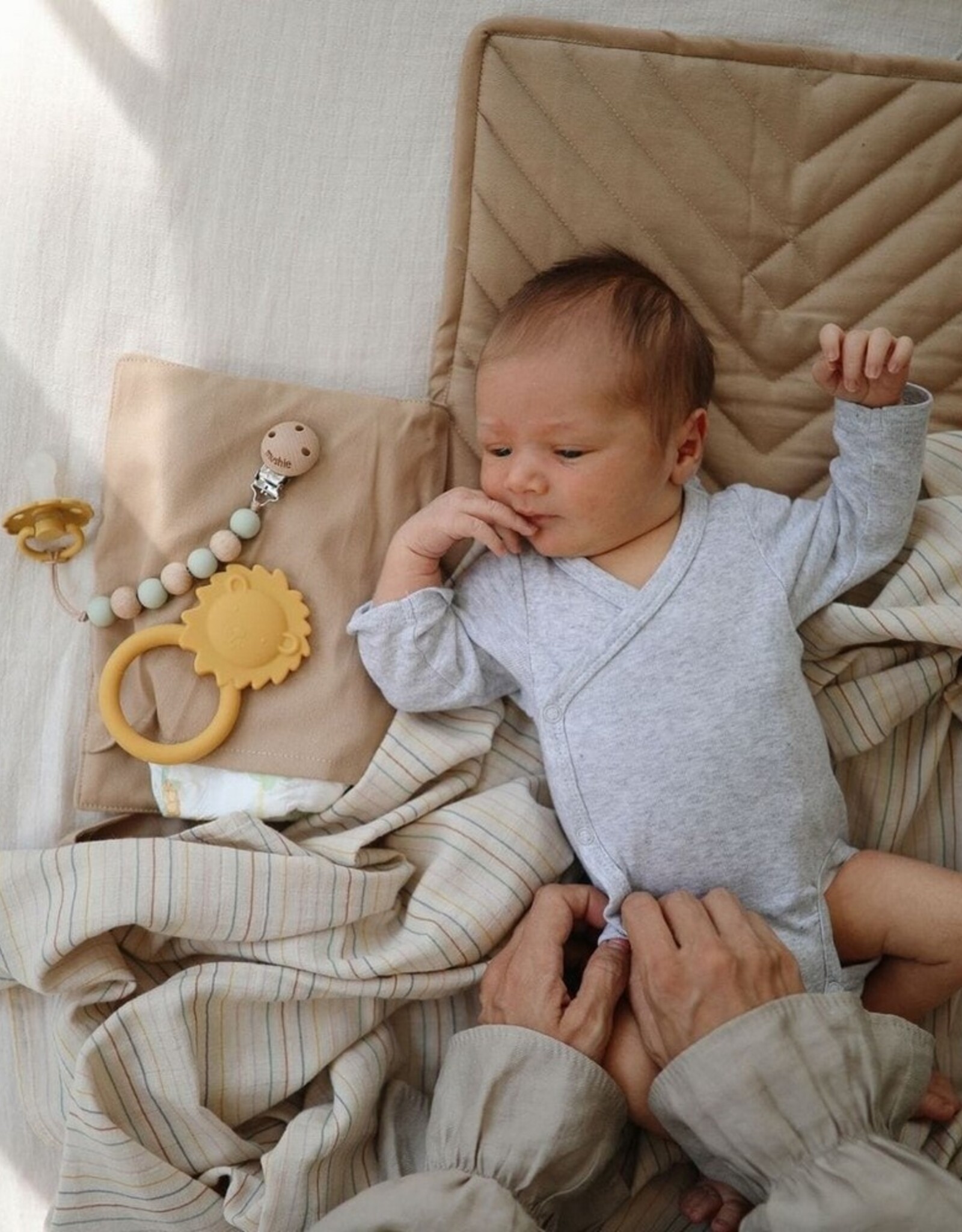 Mushie Bijtring Lion