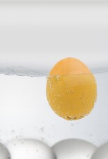 Brainstream PiepEi Van Gogh