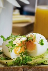 Brainstream PiepEi Hokusai