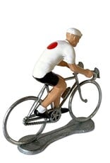 Bernard & Eddy Wielrenner Japan