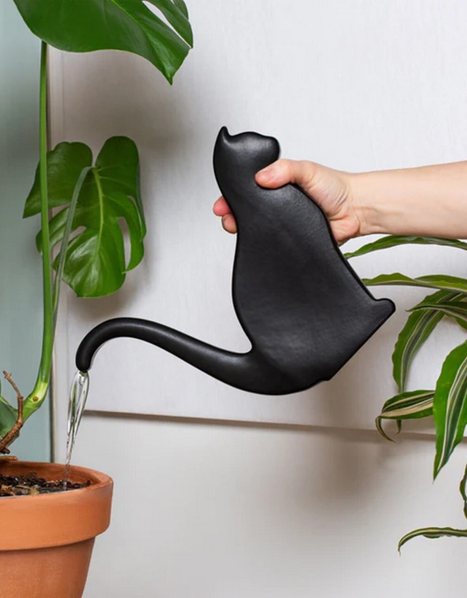 Kikkerland Gieter Kat