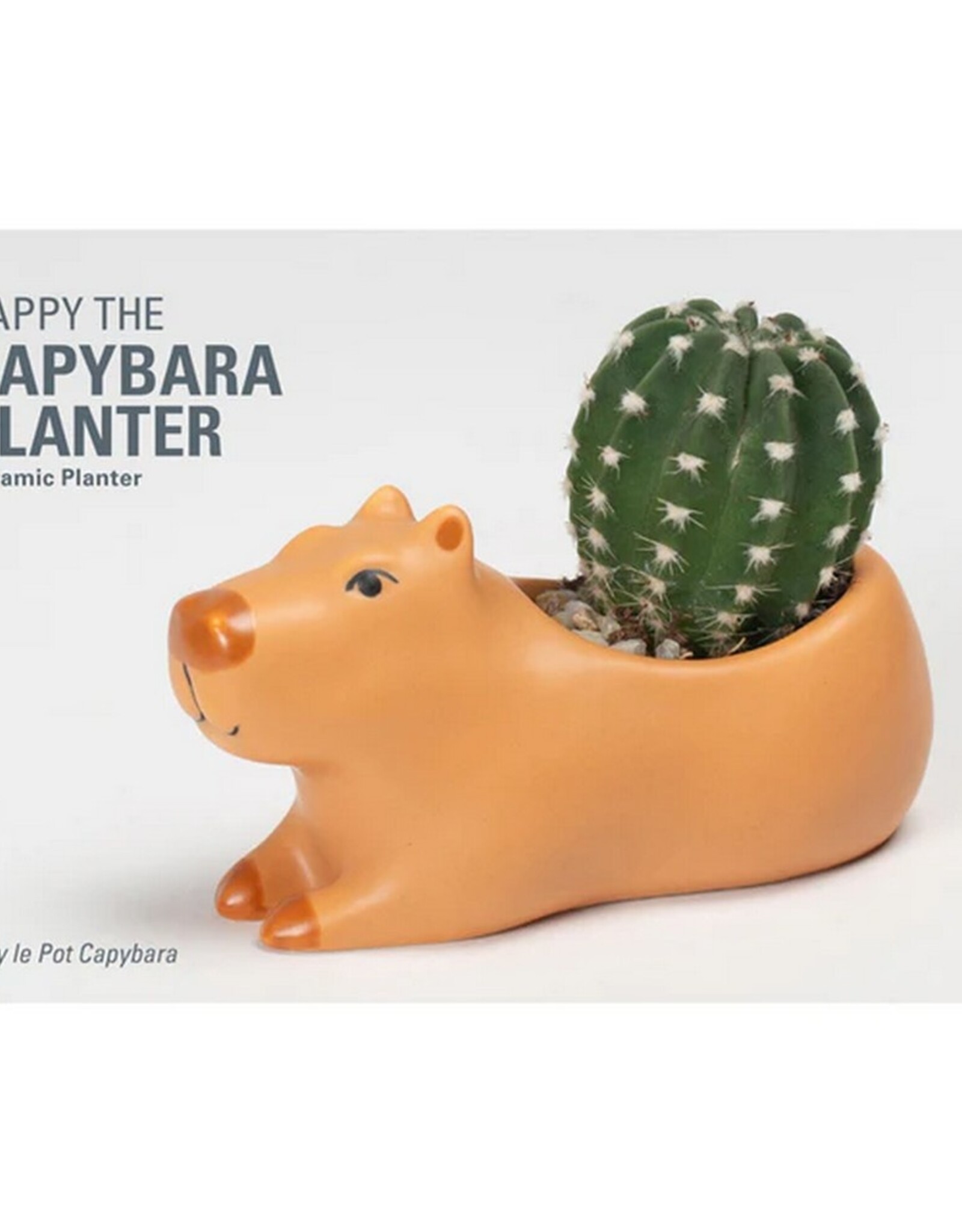 Kikkerland Planter Capybara Small