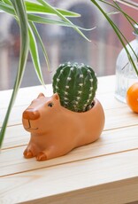 Kikkerland Planter Capybara Small