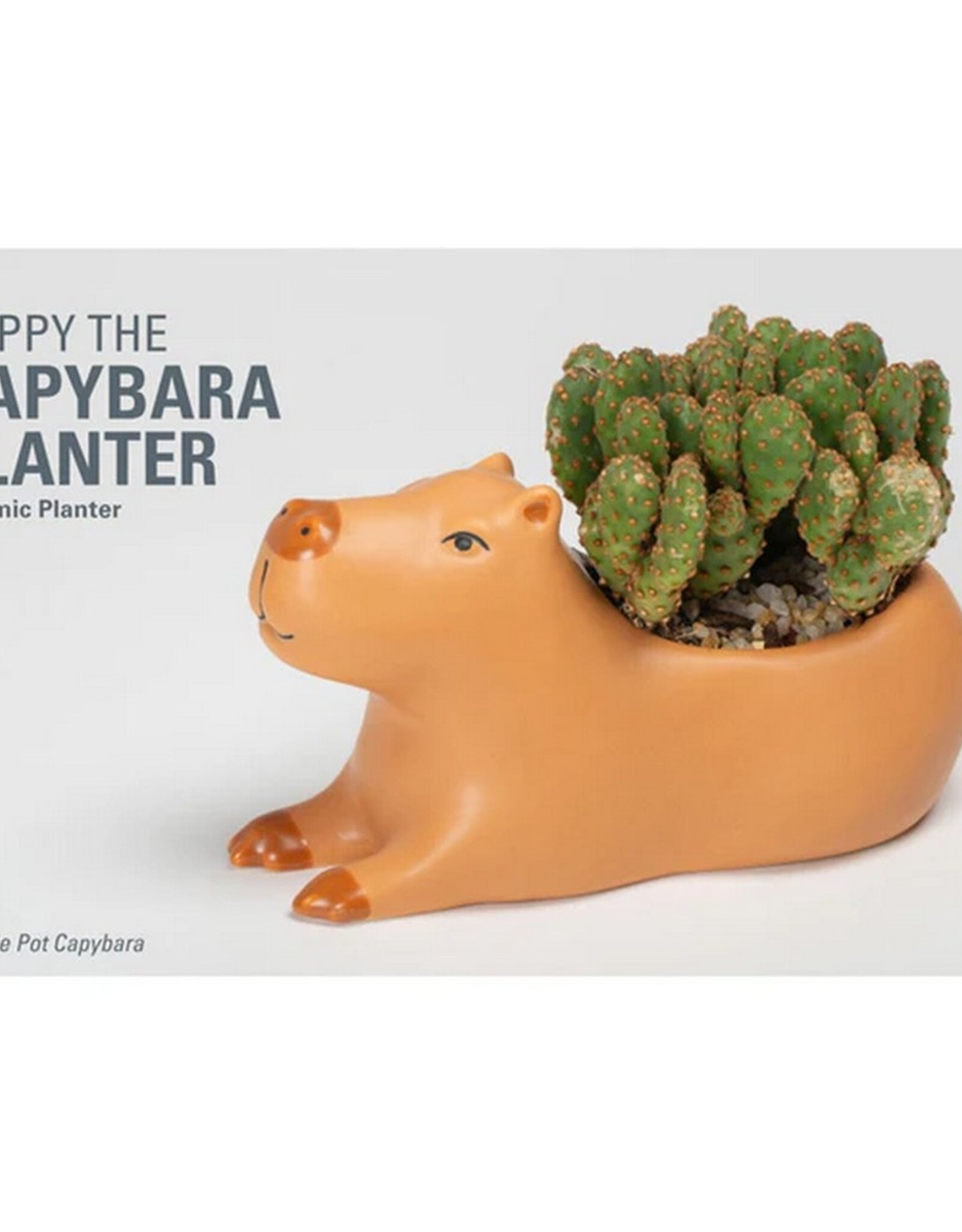 Kikkerland Planter Capybara Large