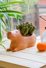 Kikkerland Planter Capybara Large