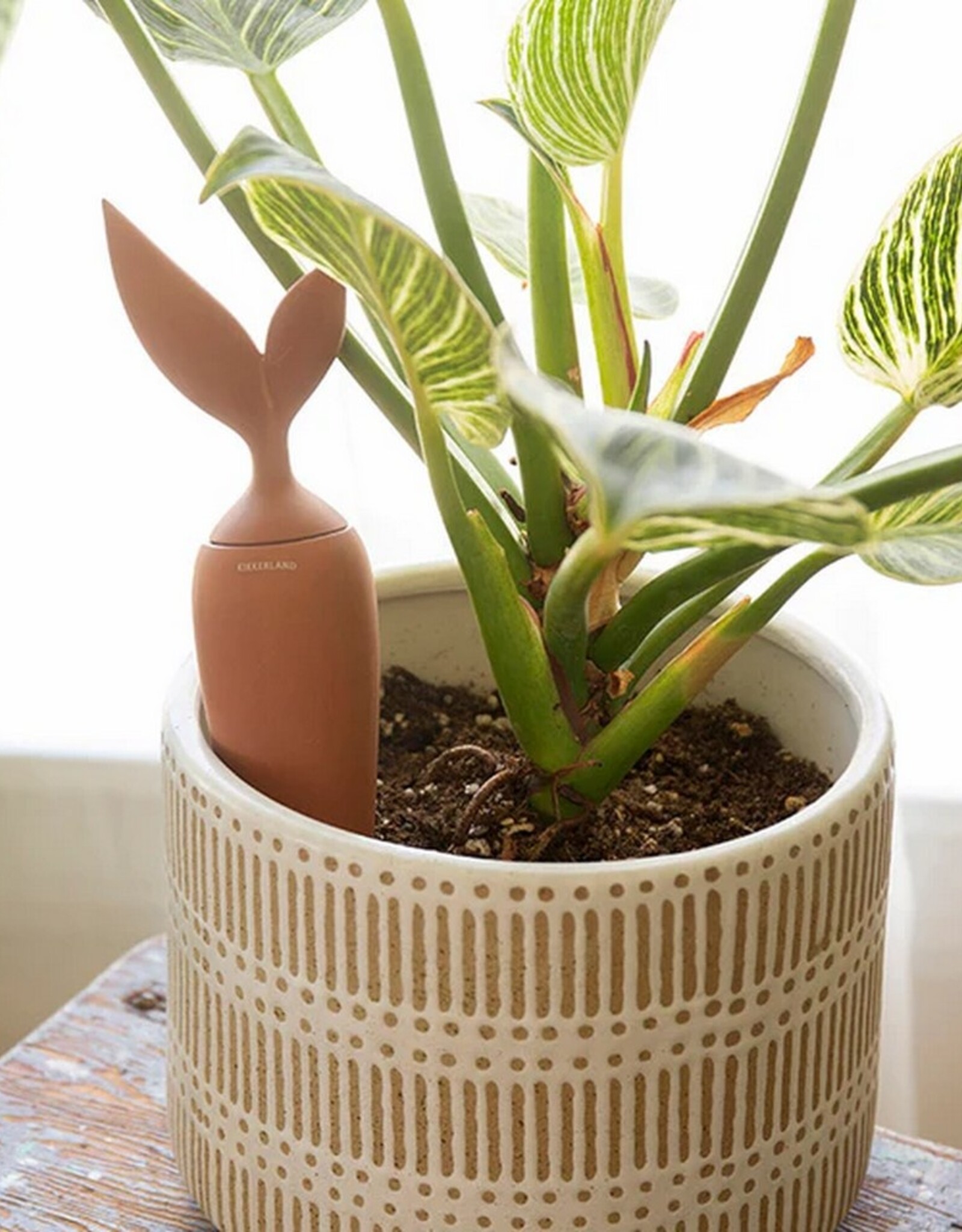 Kikkerland Watering Stake Terracotta