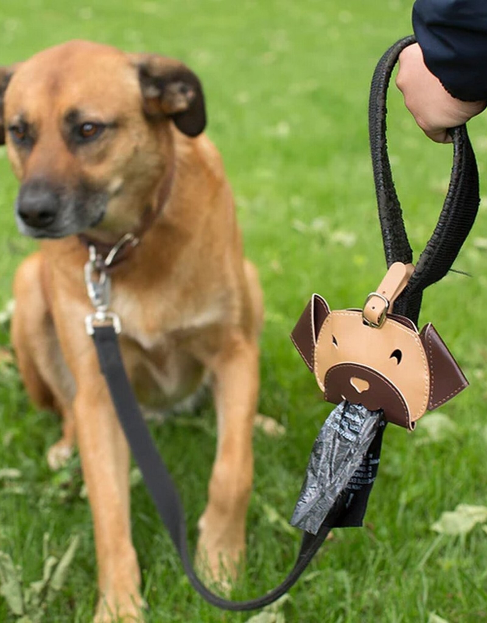 Kikkerland Hondenpoepzakjesdispenser