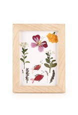 Kikkerland Huckleberry Pressed Flower Frame Art