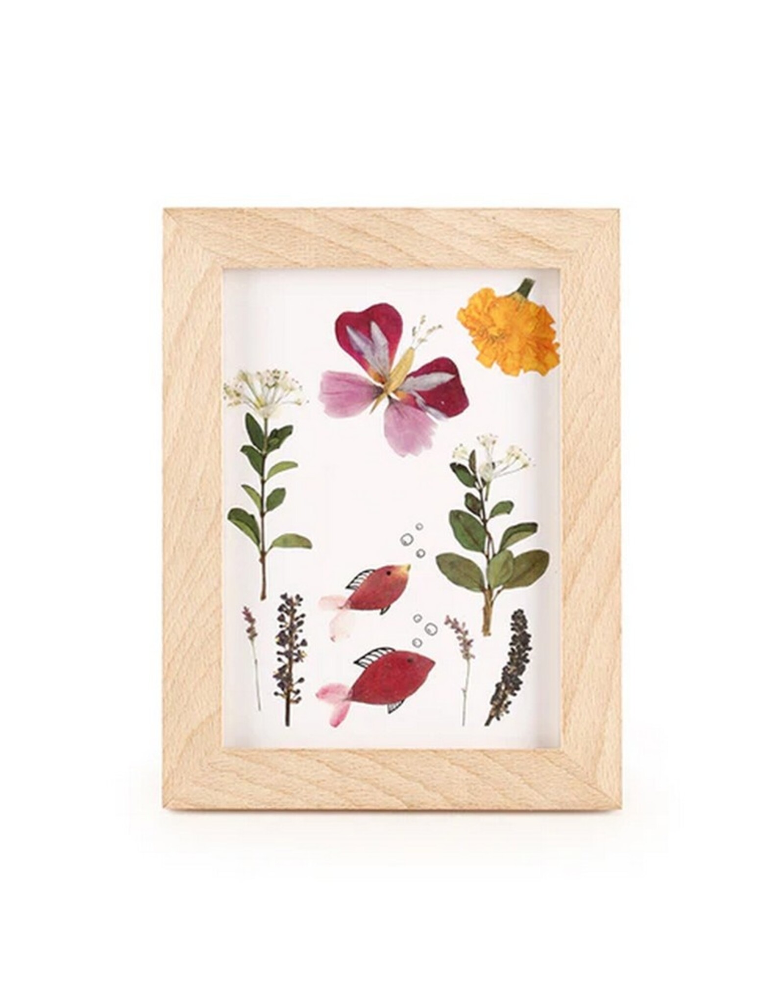 Kikkerland Huckleberry Pressed Flower Frame Art