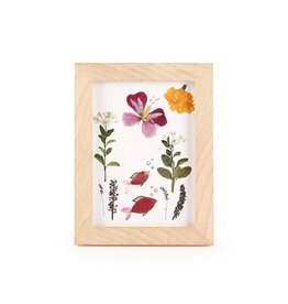 Kikkerland Huckleberry Pressed Flower Frame Art