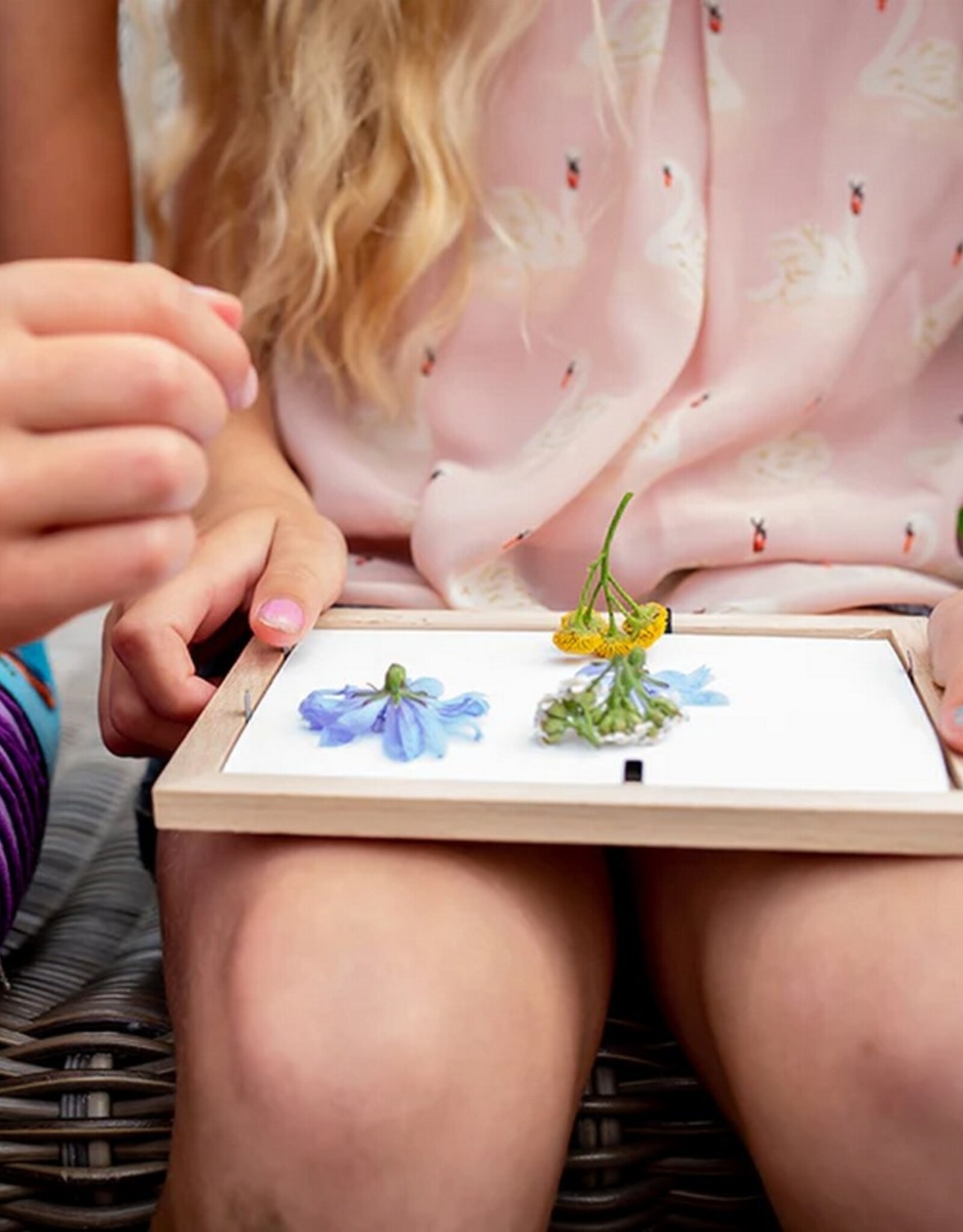 Kikkerland Huckleberry Pressed Flower Frame Art