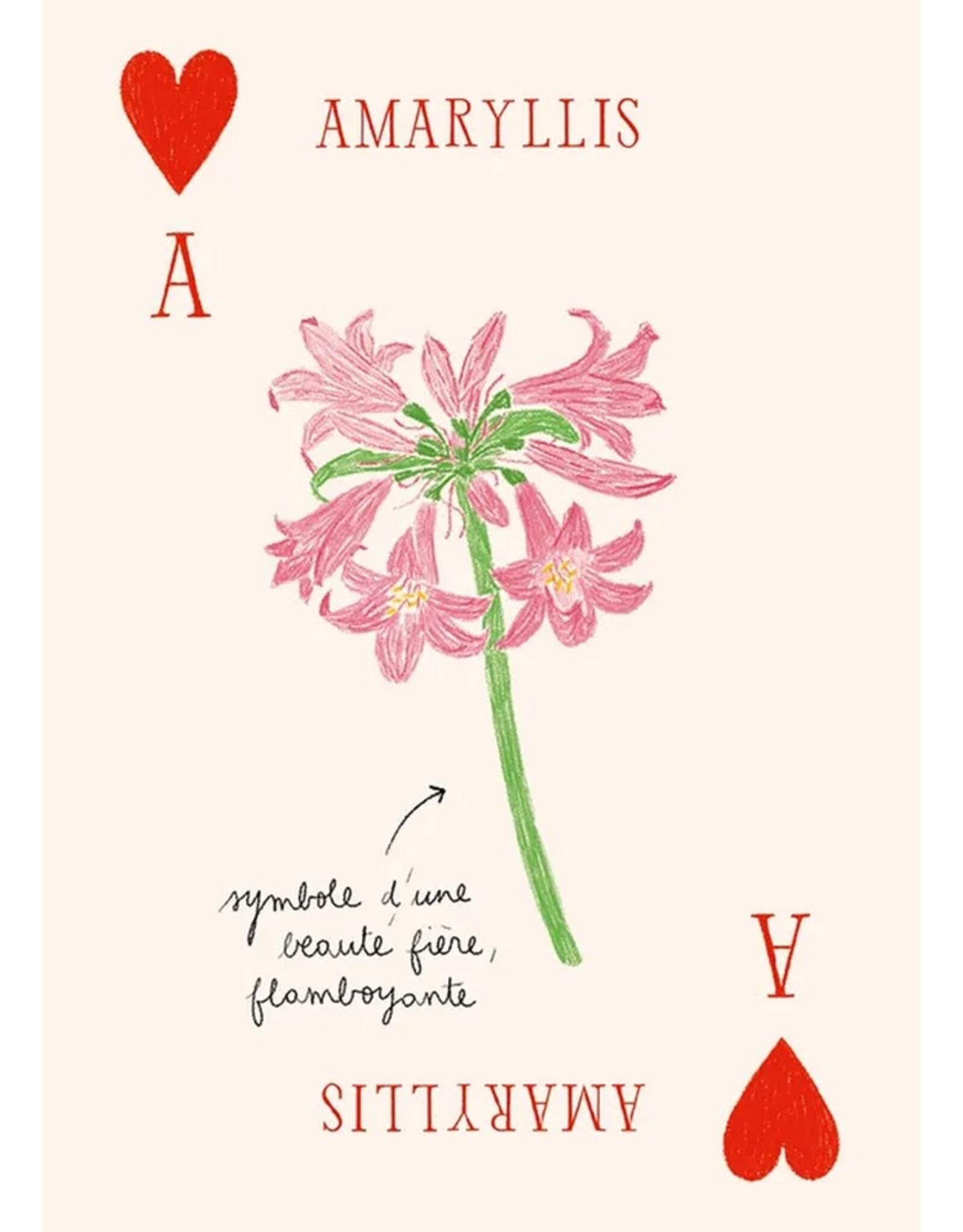 Hachette Livre Speelkaarten Les Fleurs