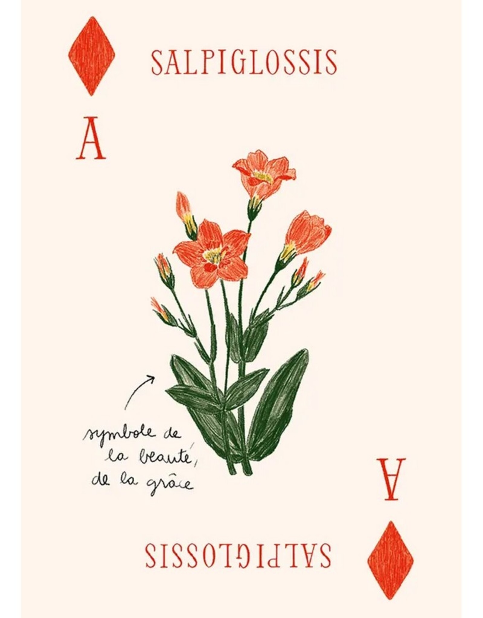 Hachette Livre Speelkaarten Les Fleurs