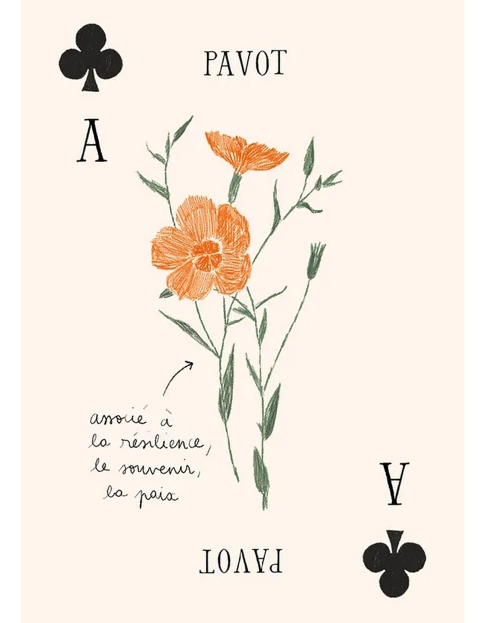 Hachette Livre Speelkaarten Les Fleurs