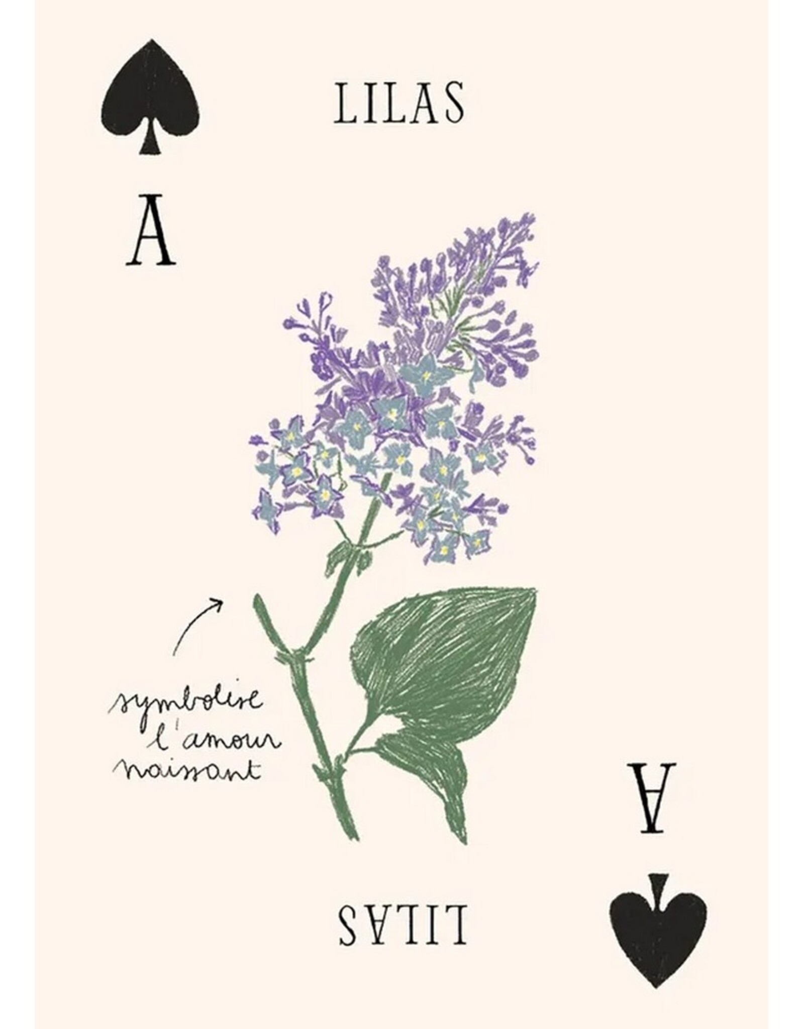 Hachette Livre Speelkaarten Les Fleurs