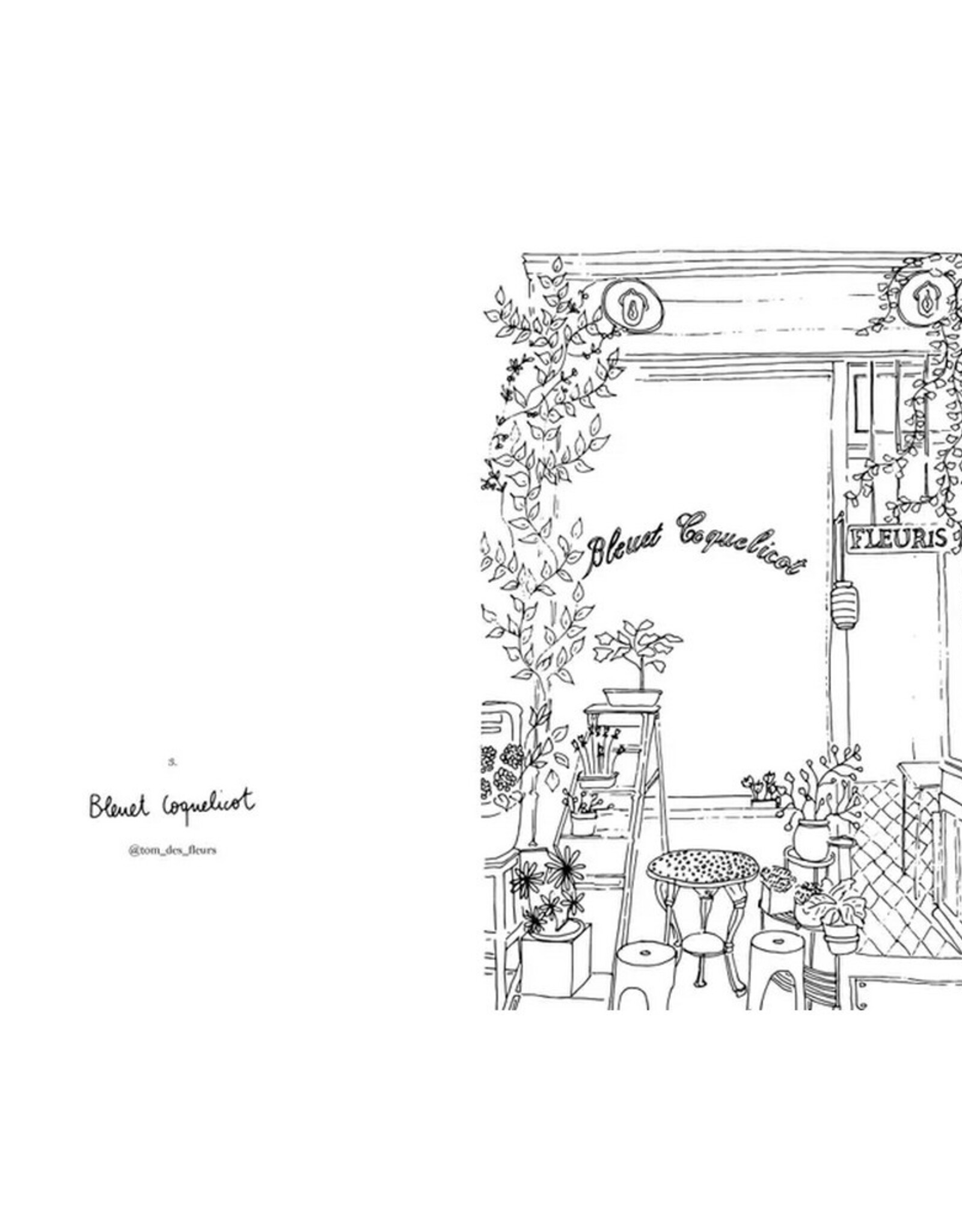 Hachette Livre Kleurboek Fleurs