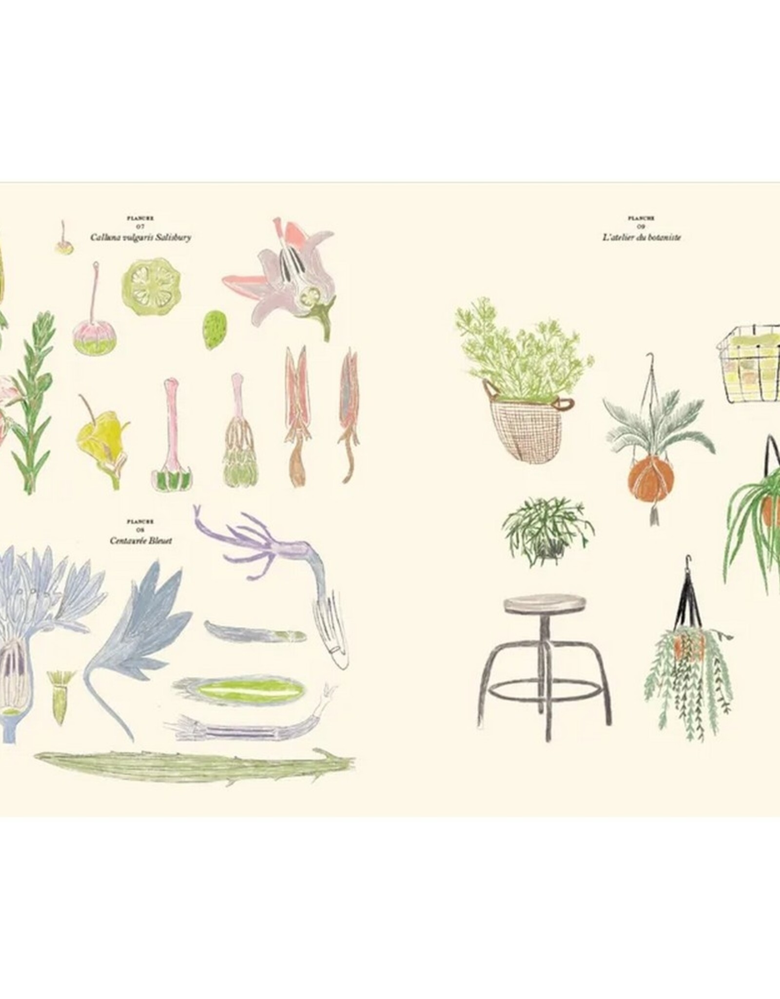 Hachette Livre Kleur- en stickerboek Le Jardin