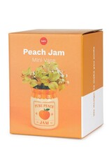 Balvi Vaasje Peach Jam