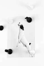 Trendform Magneten Chess 6 stuks