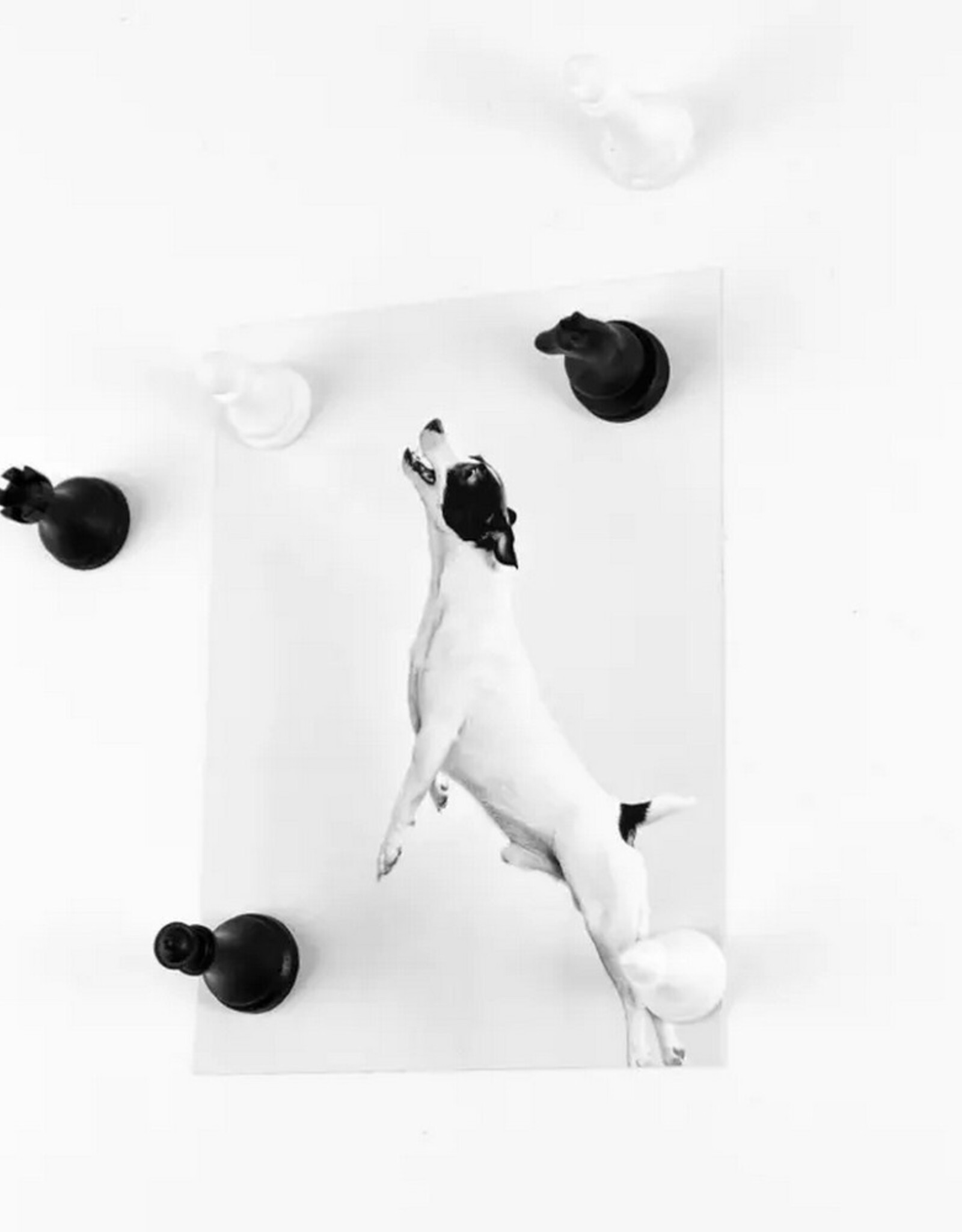 Trendform Magneten Chess 6 stuks