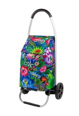Pylones Boodschappenwagen Fleurs D'eau
