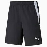 teamLIGA Training Shorts 2