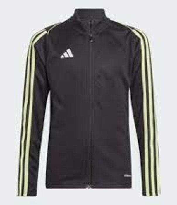 Adidas TIRO23L TR JKTY