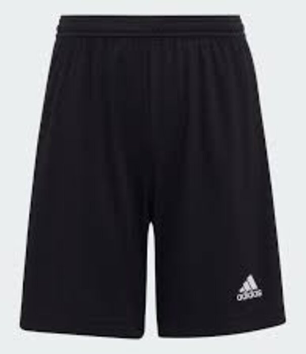 Adidas ENT22 SHO Y