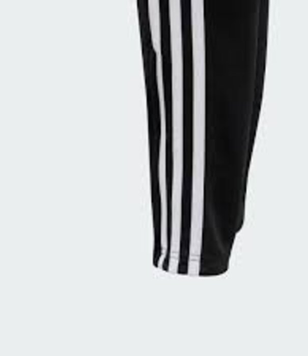 Adidas TIRO24 TRPTY