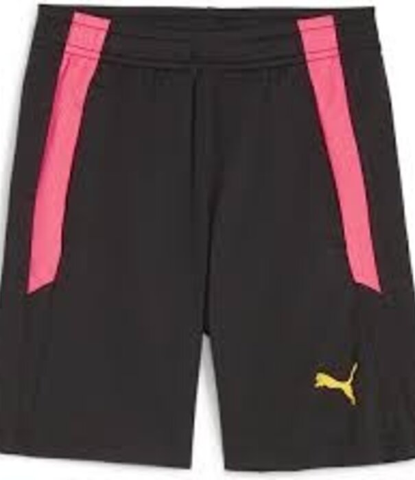 Puma teamLIGA Training Shorts 2