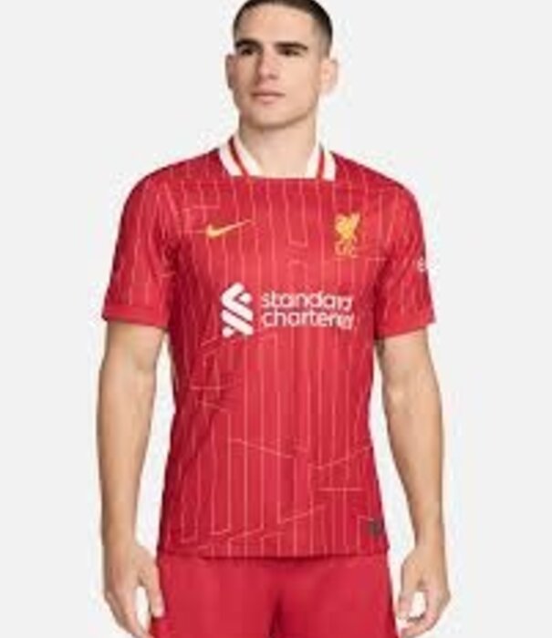 Nike LFC M NK DF JSY SS STAD HM
