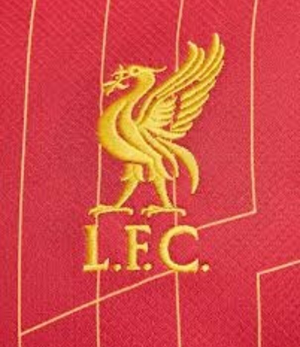 Nike LFC M NK DF JSY SS STAD HM
