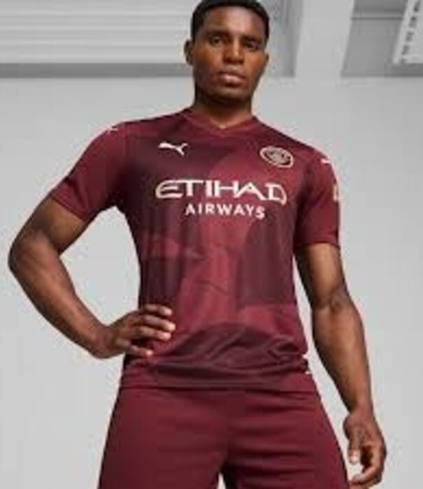 Puma mcfc third jersey