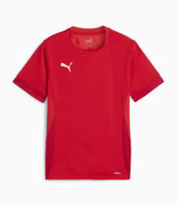 Puma teamGOAL Matchday Jersey j
