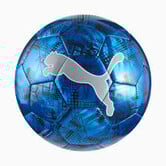 PUMA CUP Graphic ball
