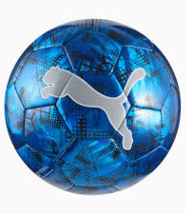 Puma PUMA CUP Graphic ball