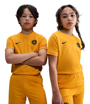 Dri-FIT Aca.25 Tr. Shirt Jr EH