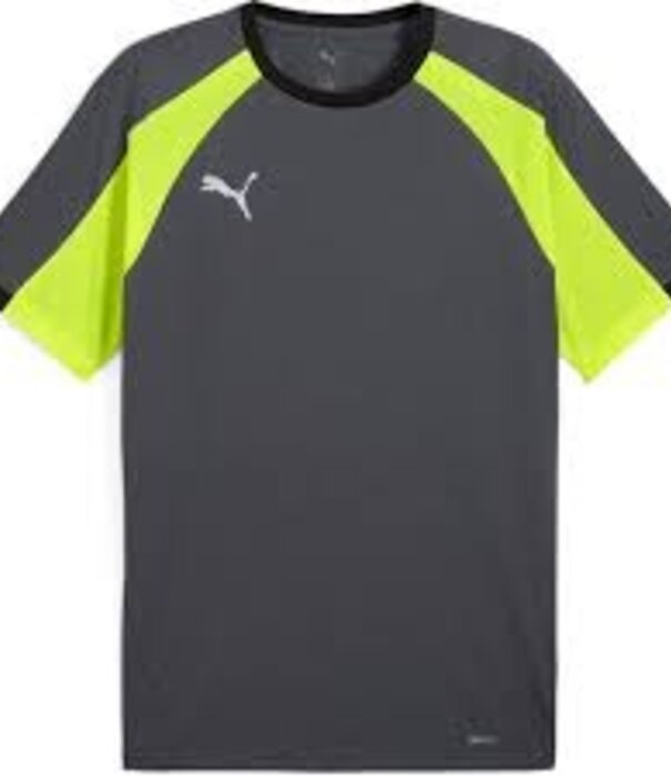 Puma IndividualLIGA Jersey
