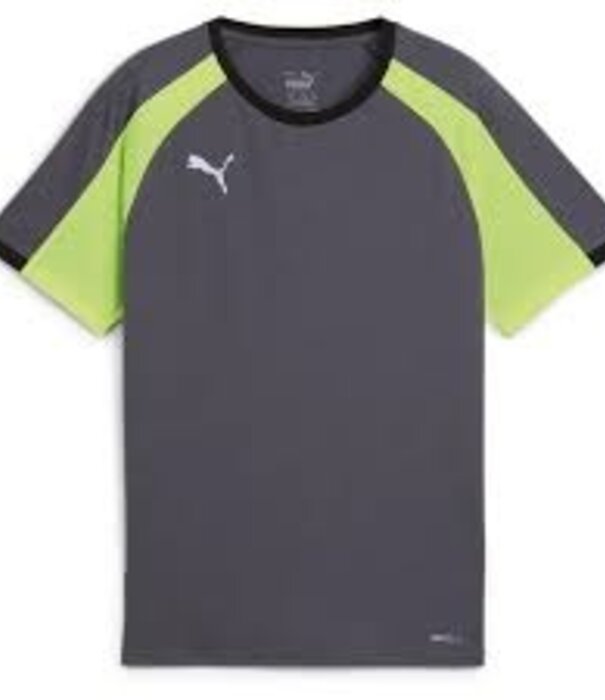 Puma IndividualLIGAJersey Jr