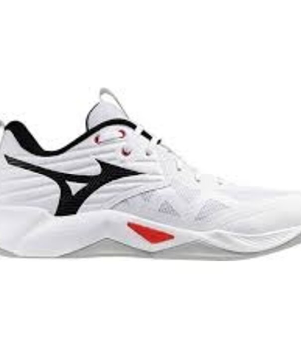 Mizuno WAVE MOMENTUM PRO