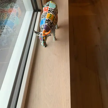 Fensterbank Eiche massiv - nach Maß - 2 cm (20 mm) dick - Eichenholz A-Qualität (A/B) - verleimtes Massivholz - HF 8-12% Fensterbank Eiche massiv - nach Maß - 2 cm (20 mm) dick - Eichenholz A-Qualität (A/B) - verleimtes Massivholz - HF 8-12%