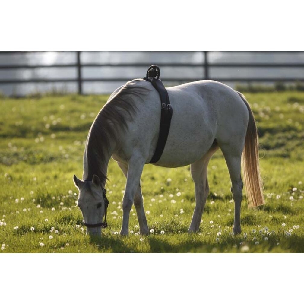 Foaling system | Complete Set GSM Mobile Phone Version