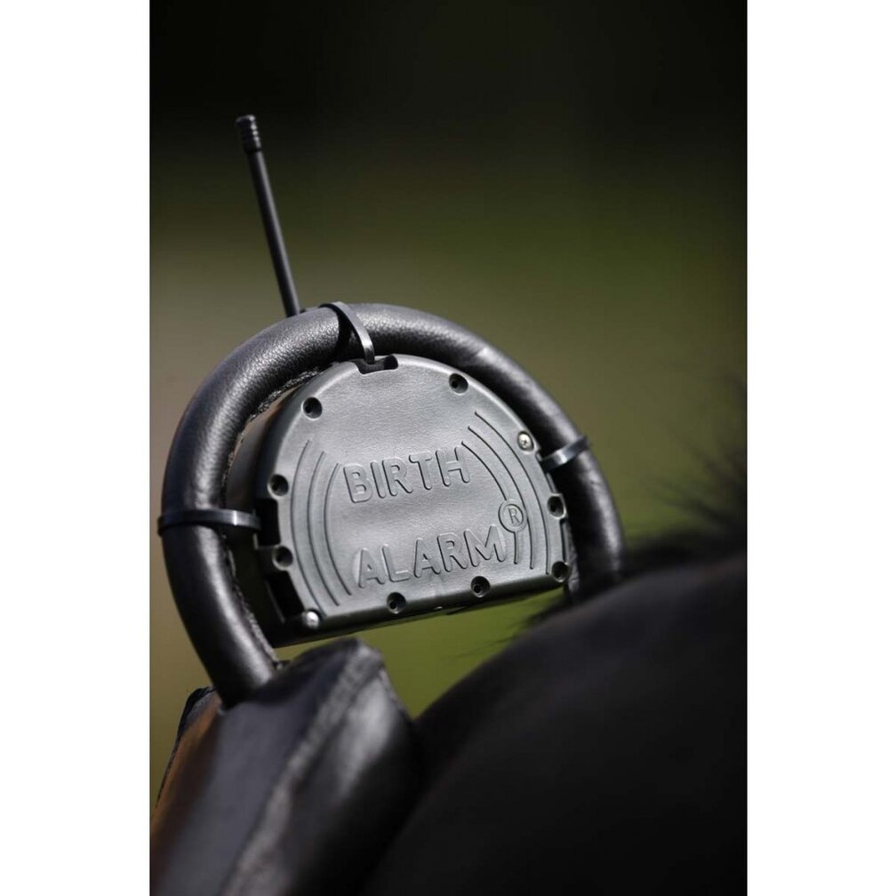 Foaling system | Complete Set GSM Mobile Phone Version