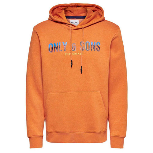 Only & Sons Only & Sons Onsmava Hoodie Oranje