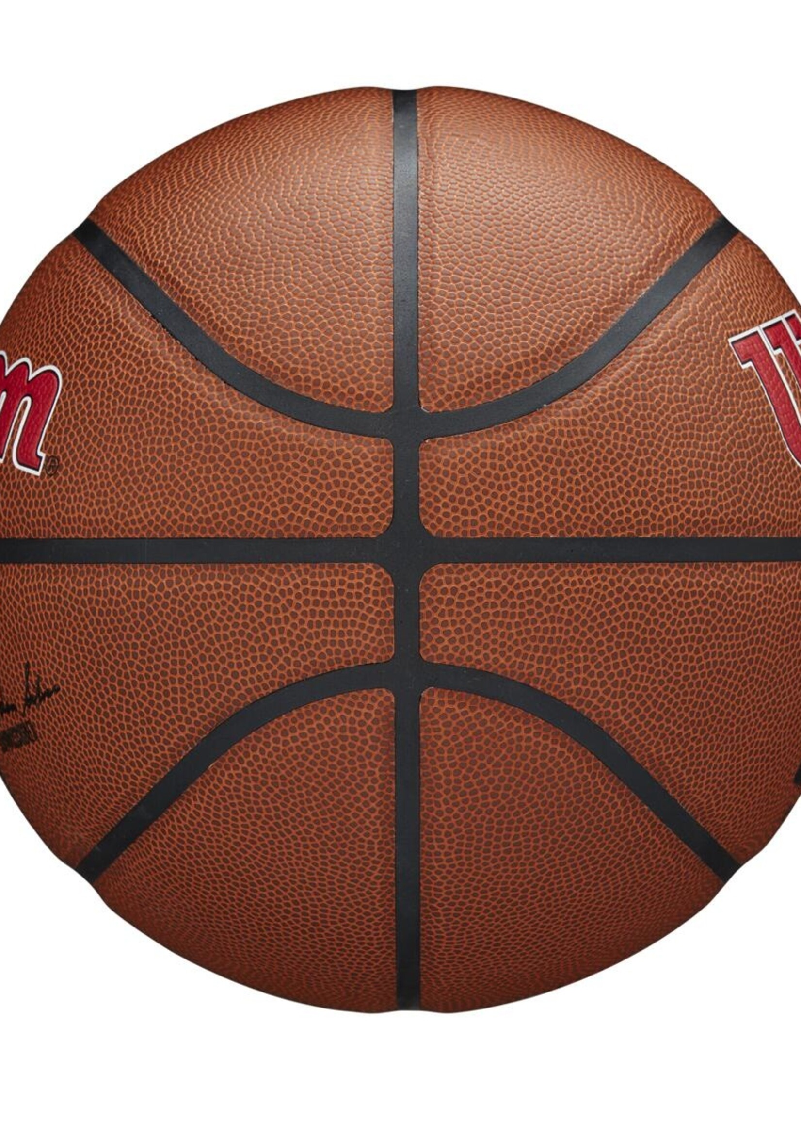 Wilson Wilson NBA TORONTO RAPTORS Composite Indoor / Outdoor Basketbal (7)