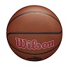 Wilson Wilson NBA TORONTO RAPTORS Composite Indoor / Outdoor Basketbal (7) Wilson Wilson NBA TORONTO RAPTORS Composite Indoor / Outdoor Basketbal (7)