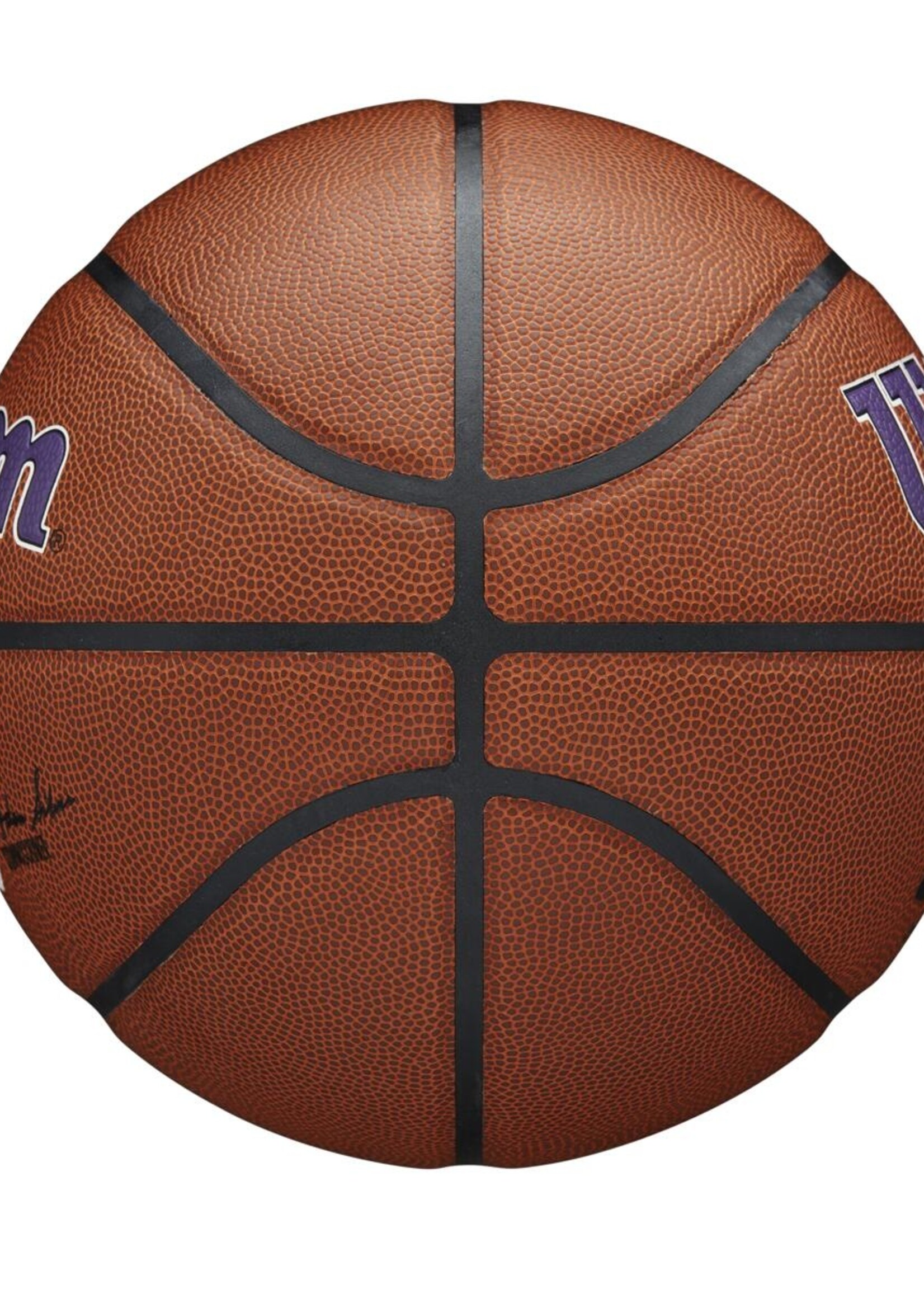 Wilson Wilson NBA LA LAKERS Composite Indoor / Outdoor Basketbal (7)