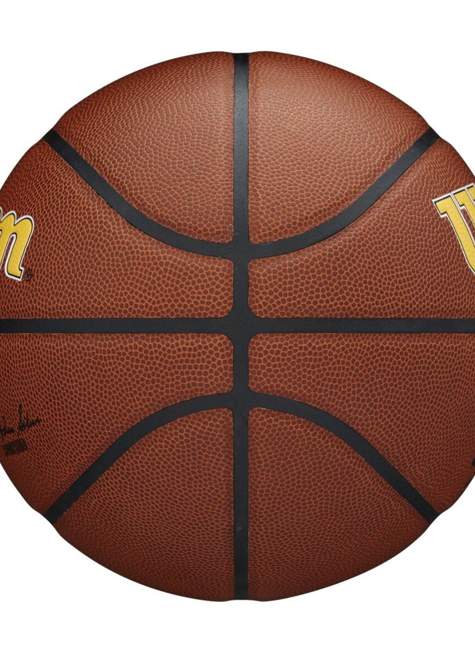 Wilson Wilson NBA INDIANA PACERS Composite Indoor / Outdoor Basketbal (7)