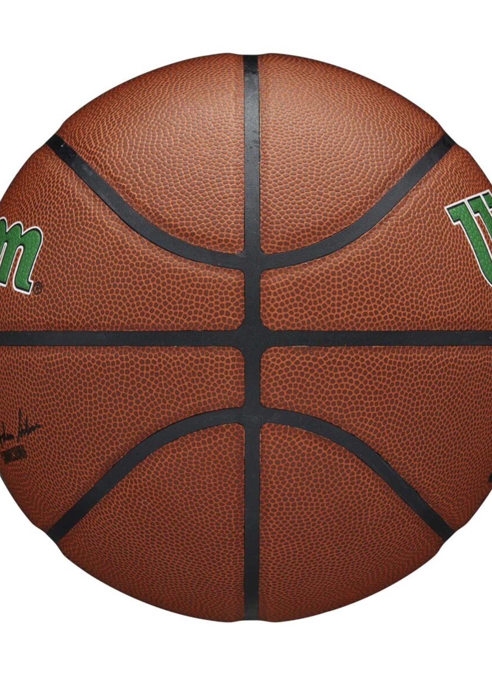 Wilson Wilson NBA BOSTON CELTICS Composite Indoor / Outdoor Basketbal (7)